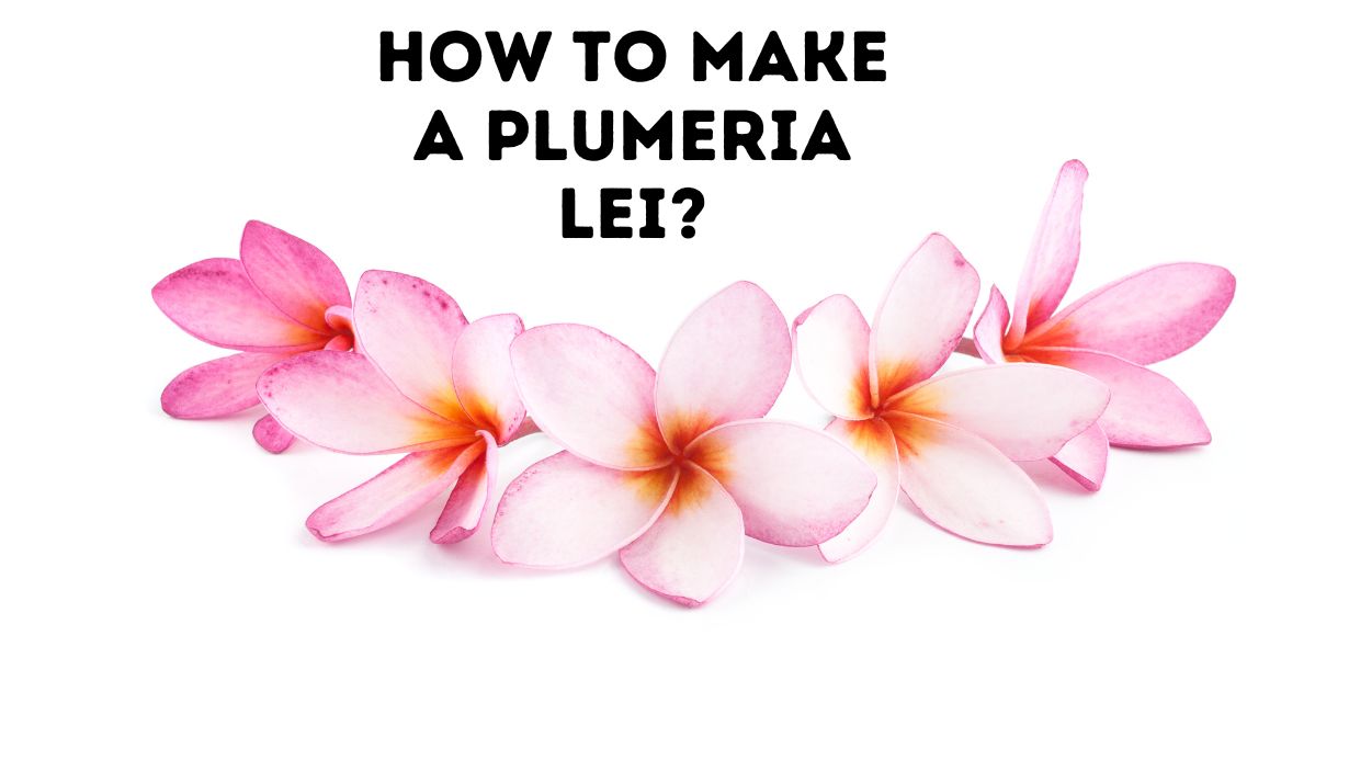 How To Make A Plumeria Lei