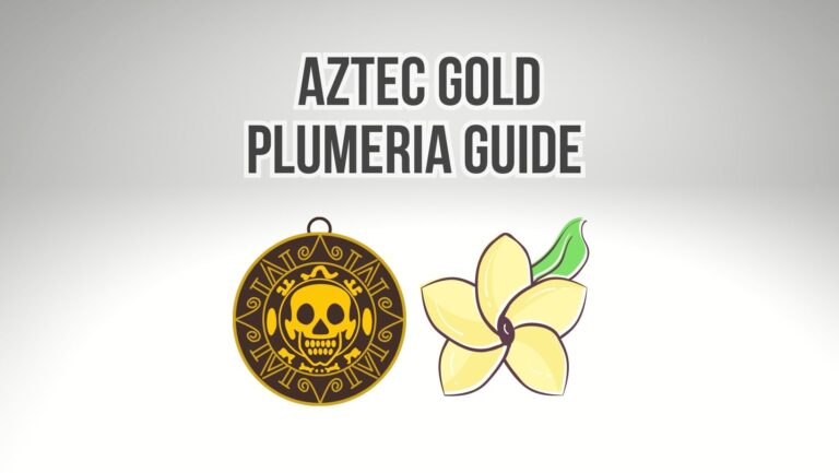 Aztec Gold Plumeria Guide 101