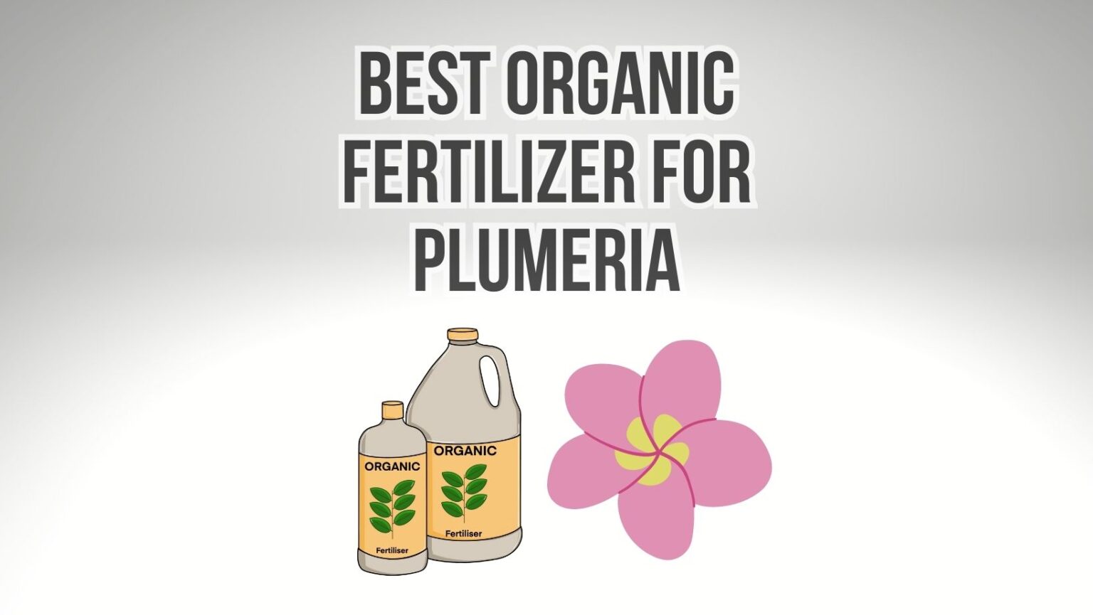 10 Best Organic Fertilizer for Plumeria - Plumeria Guy