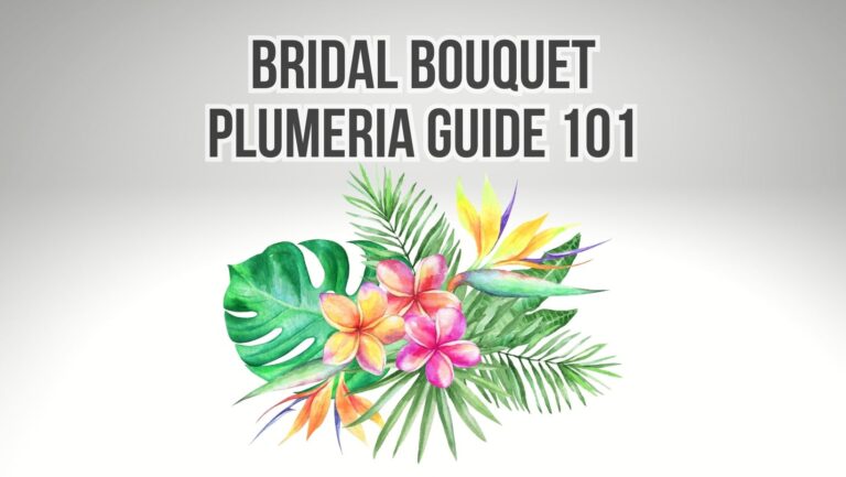 Bridal Bouquet Plumeria Guide 101