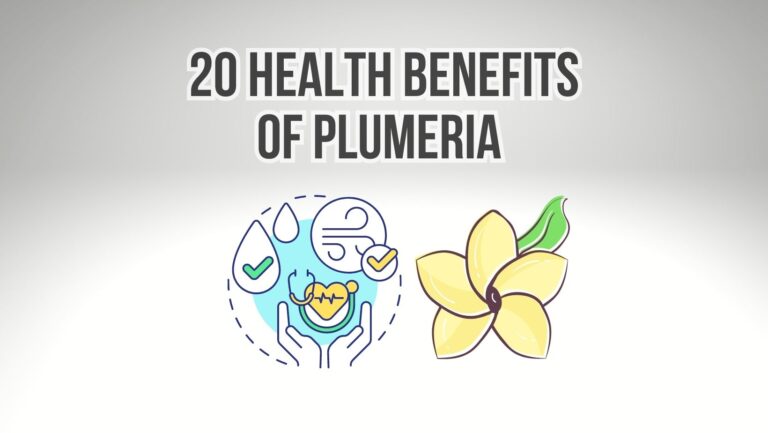 20 Amazing Health Benefits of Plumeria