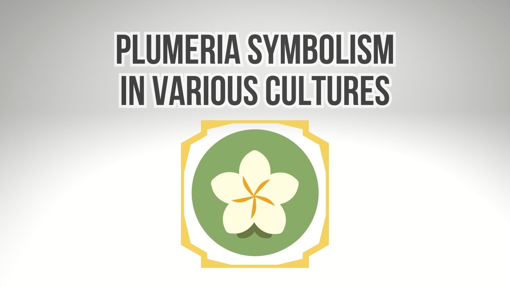Plumeria Symbolism In Various Cultures